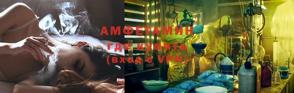 сатива Богданович