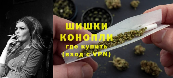 сатива Богданович