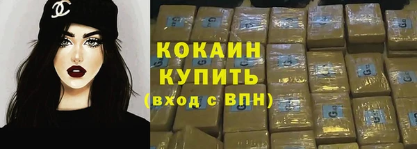 сатива Богданович