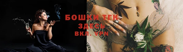 прущий лед Богородицк