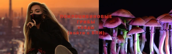 сатива Богданович
