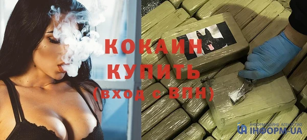 сатива Богданович
