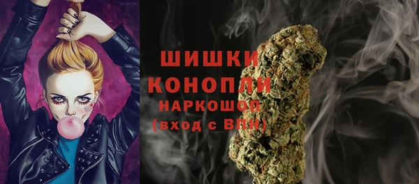 прущий лед Богородицк