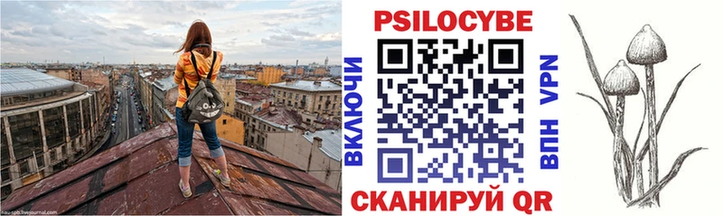 дарнет шоп  Новотитаровская  Галлюциногенные грибы Psilocybe 