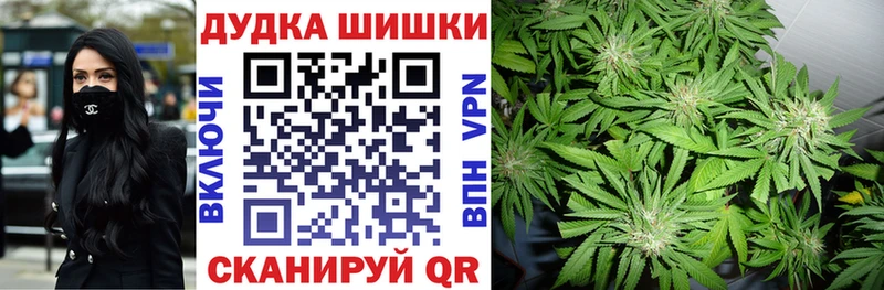 нарко площадка какой сайт  Новотитаровская  Марихуана планчик  где можно купить наркотик 